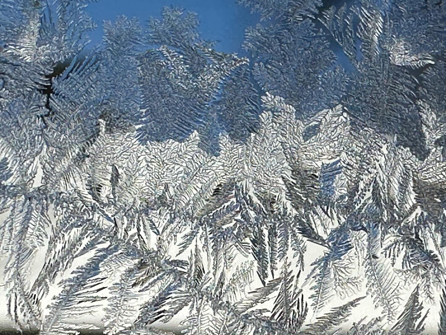 Photo Post ~ Winter windows #69