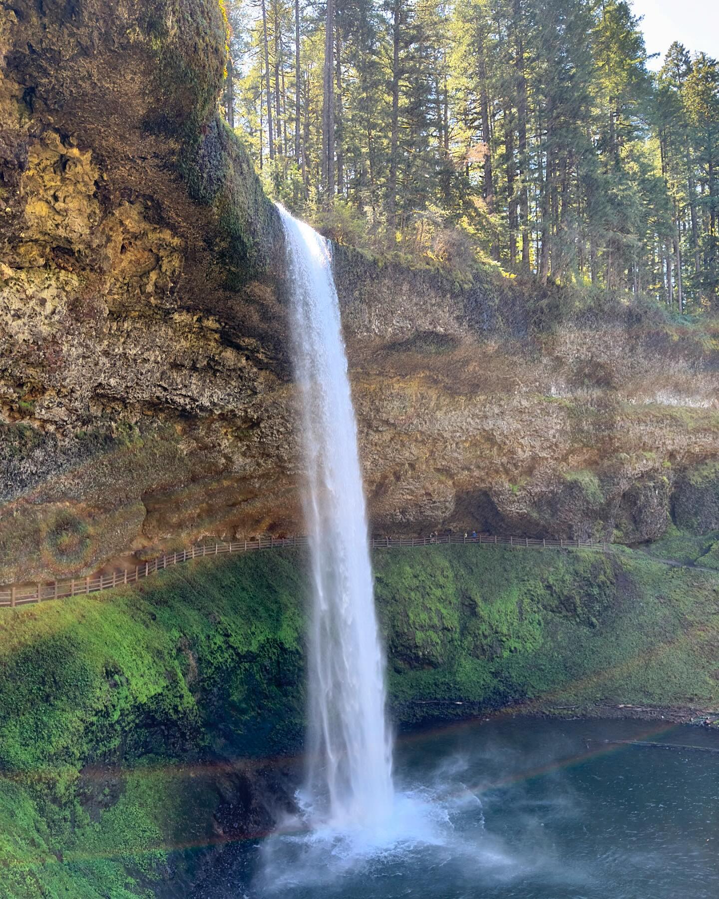 Photo Post ~ Silver Falls, OR