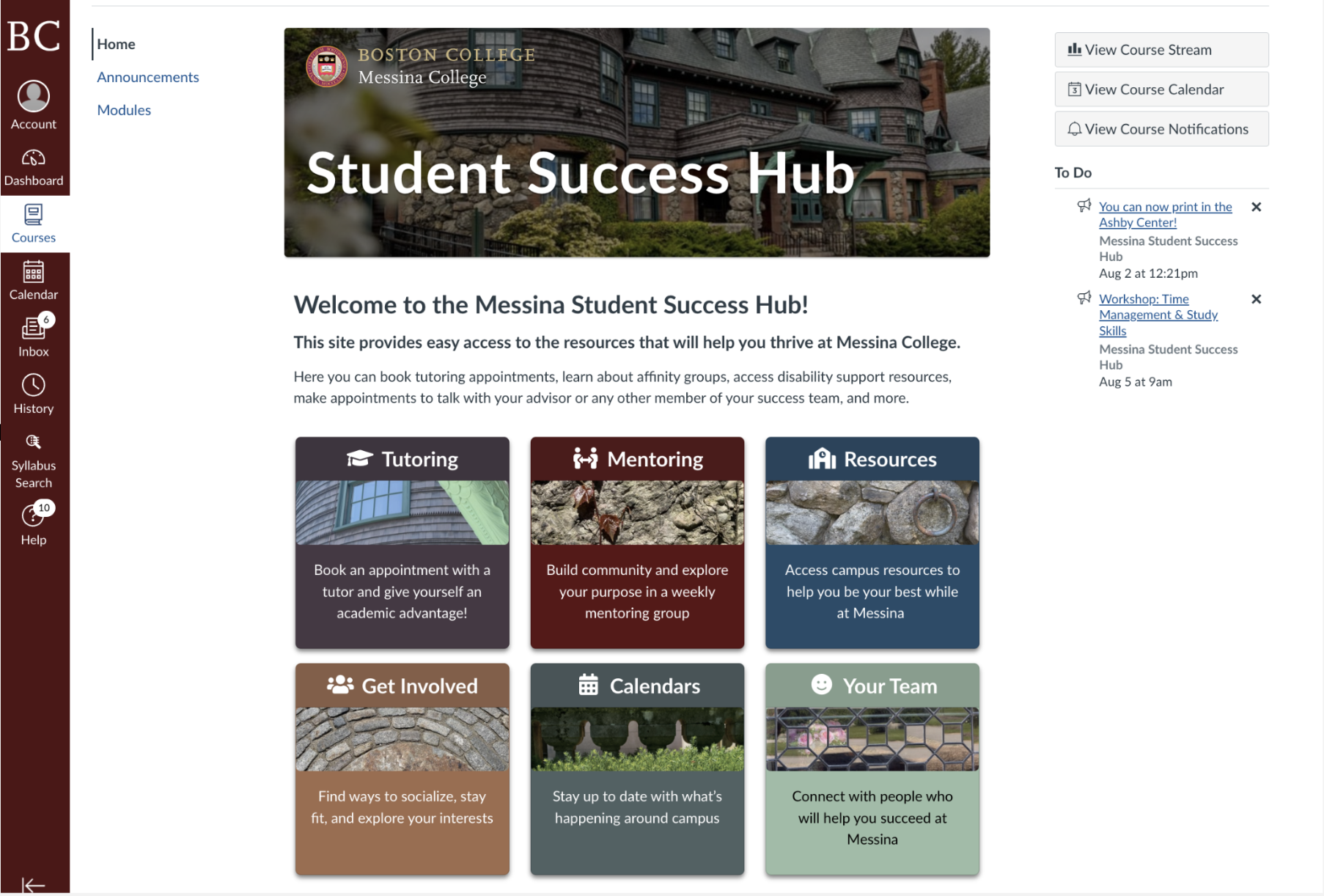 Screen shot of Messina College Studen Success Hub homepage