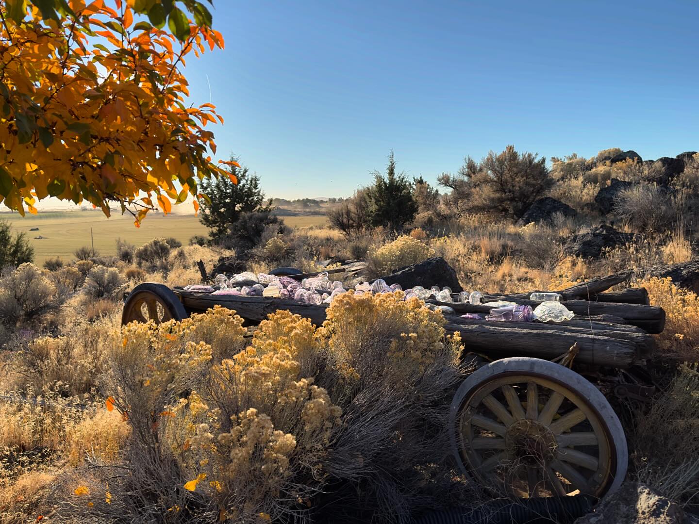 Photo Post ~ Roth Ranch, Christmas Valley, OR